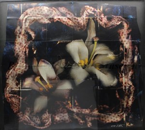 Image description is not available for 2015.043